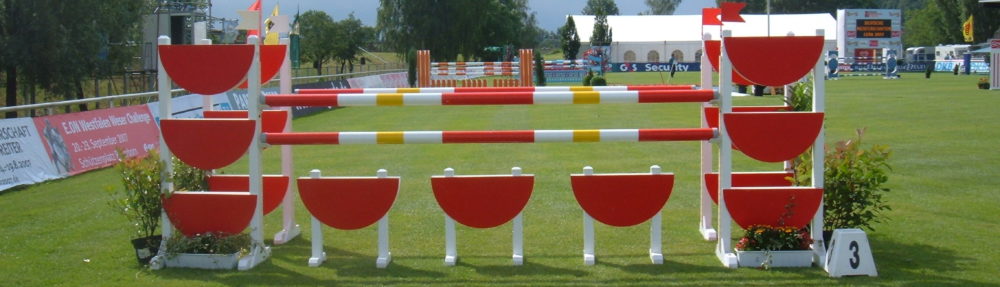 Achieve your Equestrian Dream